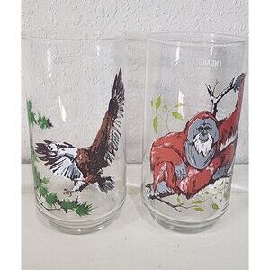 2 BURGER CHEF 1978 Vintage Endangered Species Collector Glasses Eagle Orangutan